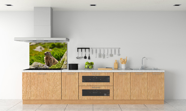 Kitchen splashback Tatra marmot