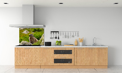 Kitchen splashback Tatra marmot