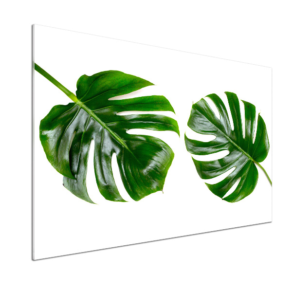 Kitchen wall panels Tropical leaves