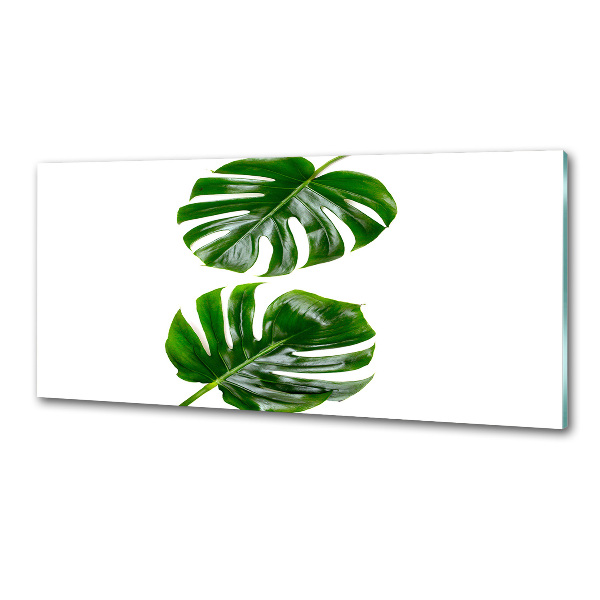 Kitchen wall panels Tropical leaves