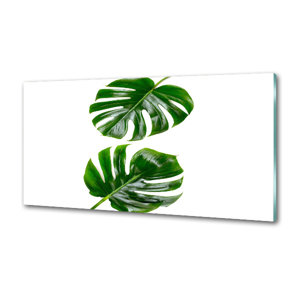 Kitchen wall panels Tropical leaves