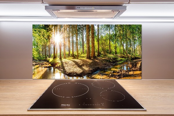 Cooker splashback Panorama of the forest