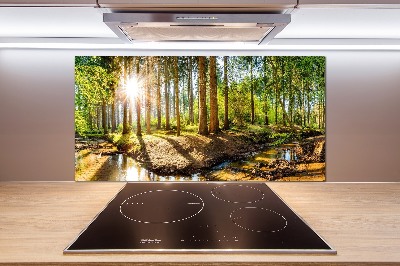 Cooker splashback Panorama of the forest