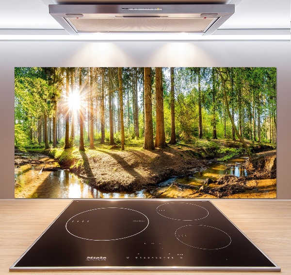 Cooker splashback Panorama of the forest