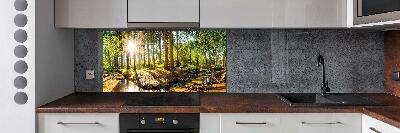 Cooker splashback Panorama of the forest