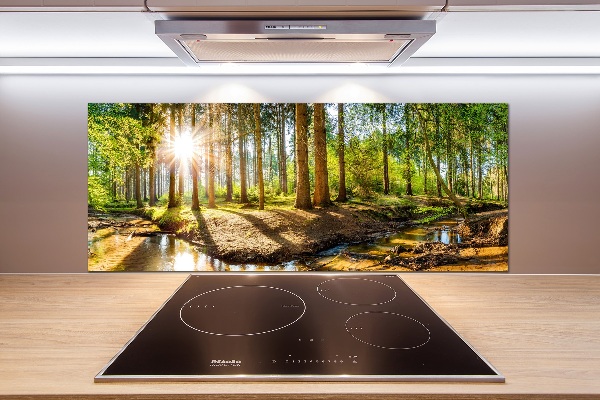 Cooker splashback Panorama of the forest