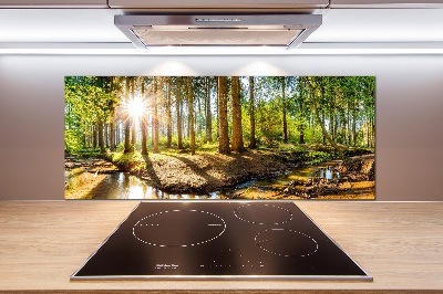 Cooker splashback Panorama of the forest