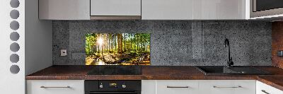 Cooker splashback Panorama of the forest