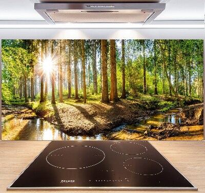 Cooker splashback Panorama of the forest