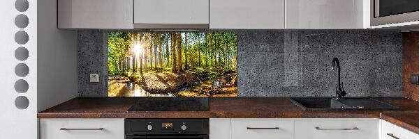 Cooker splashback Panorama of the forest