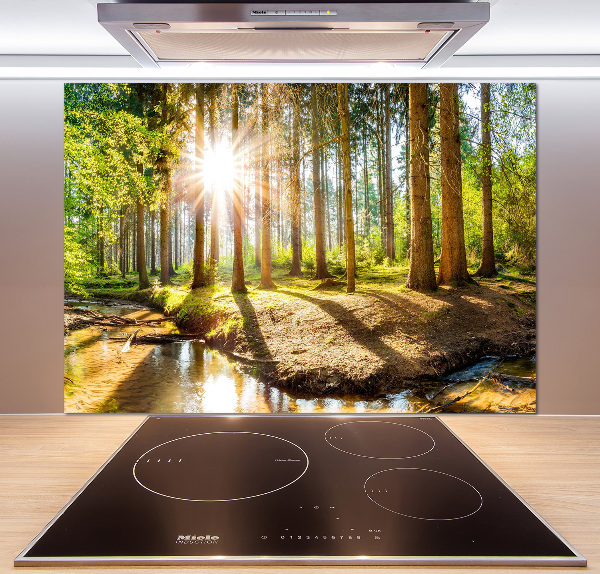 Cooker splashback Panorama of the forest