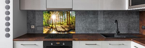 Cooker splashback Panorama of the forest