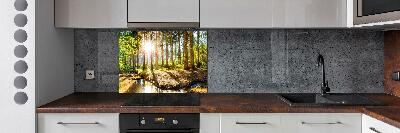 Cooker splashback Panorama of the forest