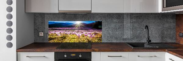 Cooker splashback Crocuses in the clearing