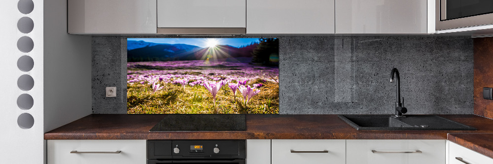 Cooker splashback Crocuses in the clearing