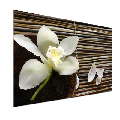 Hob splashback Orchid