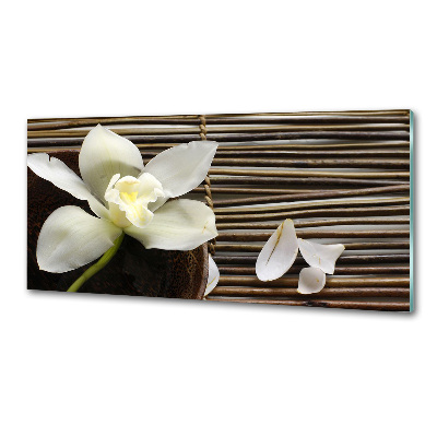 Hob splashback Orchid