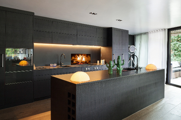 Glass splashback Wood in the fireplace