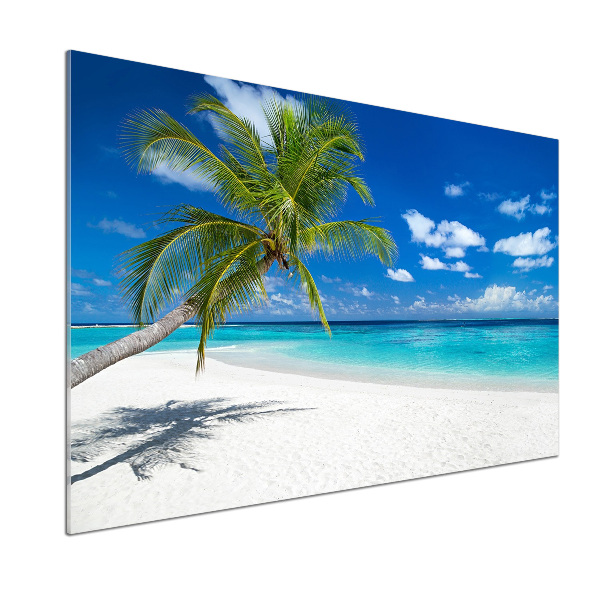 Cooker splashback Tropical beach