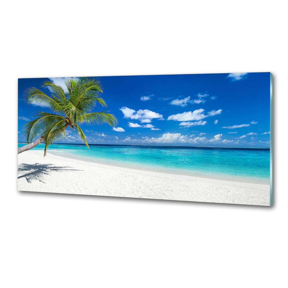 Cooker splashback Tropical beach