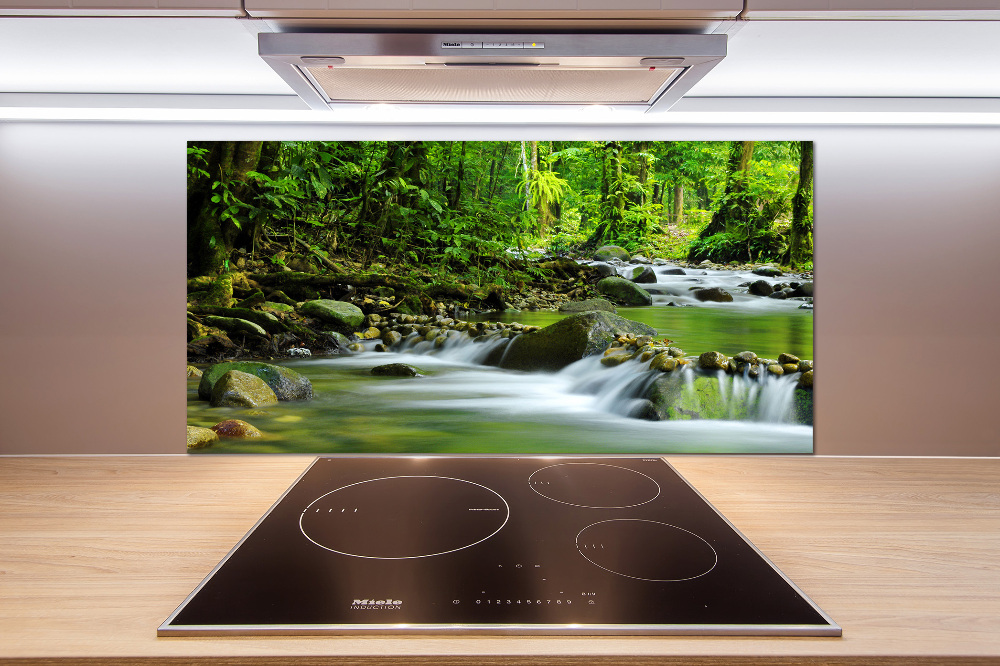 Cooker splashback Mountain stream