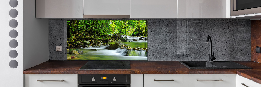 Cooker splashback Mountain stream