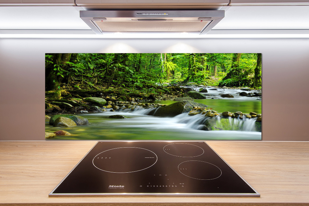 Cooker splashback Mountain stream