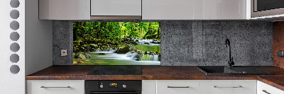 Cooker splashback Mountain stream