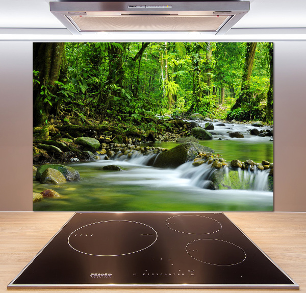 Cooker splashback Mountain stream