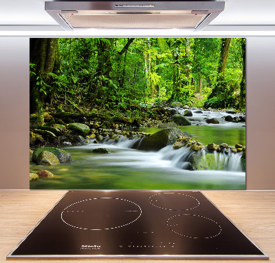 Cooker splashback Mountain stream