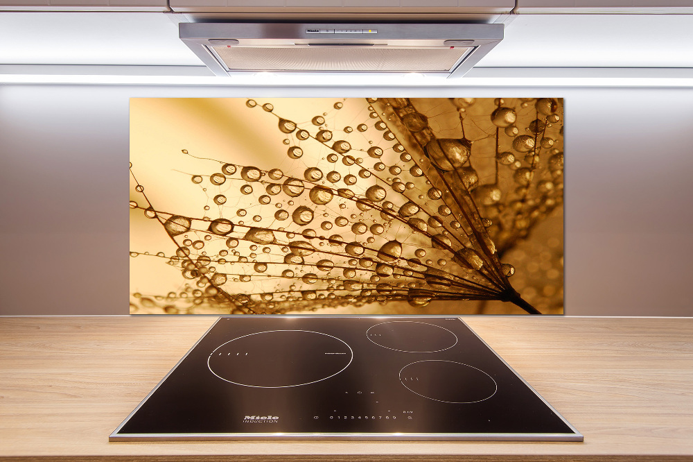 Kitchen splashback Dandelion seeds