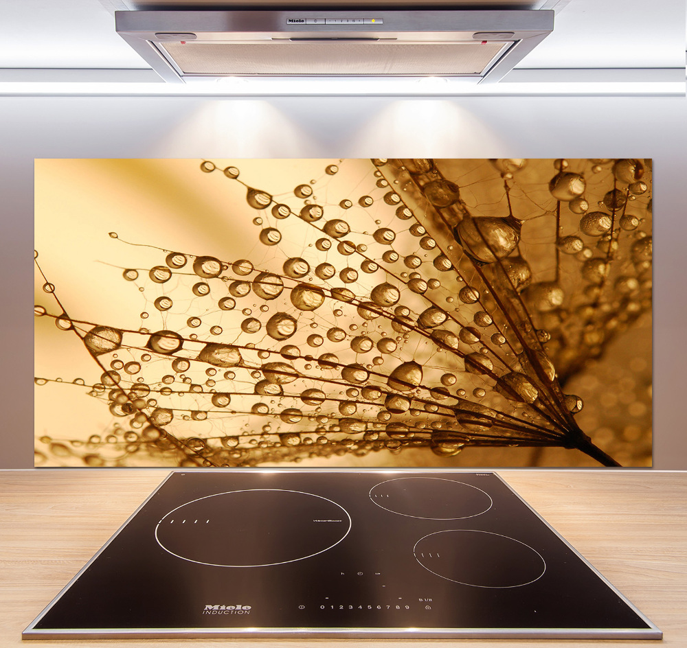 Kitchen splashback Dandelion seeds