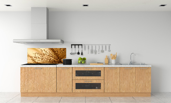 Kitchen splashback Dandelion seeds