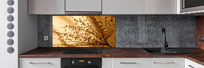 Kitchen splashback Dandelion seeds