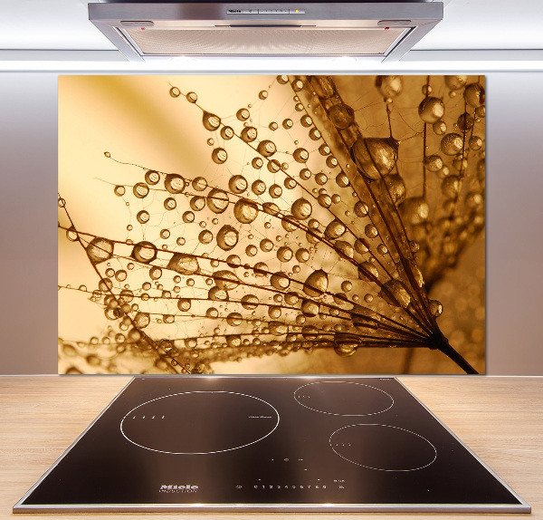 Kitchen splashback Dandelion seeds