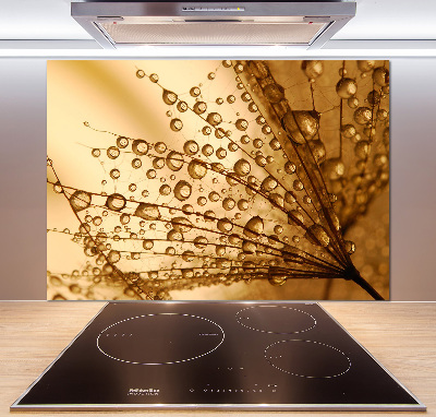 Kitchen splashback Dandelion seeds