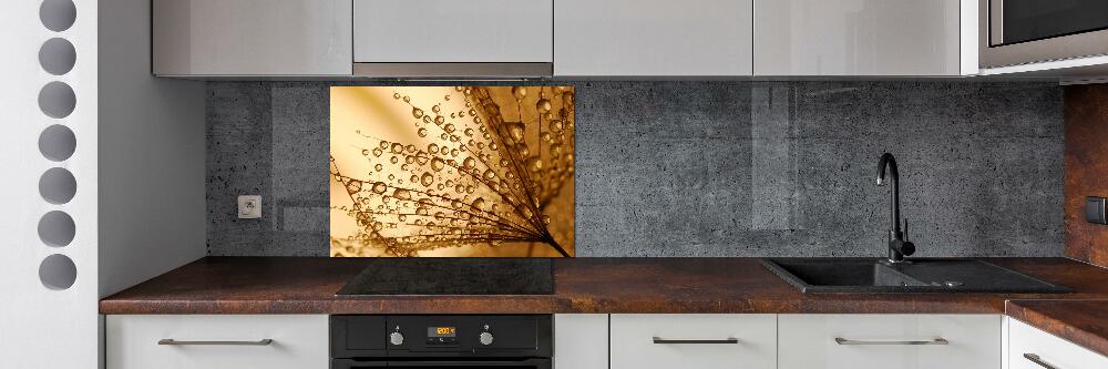 Kitchen splashback Dandelion seeds