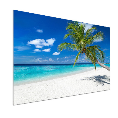 Cooker splashback Tropical beach