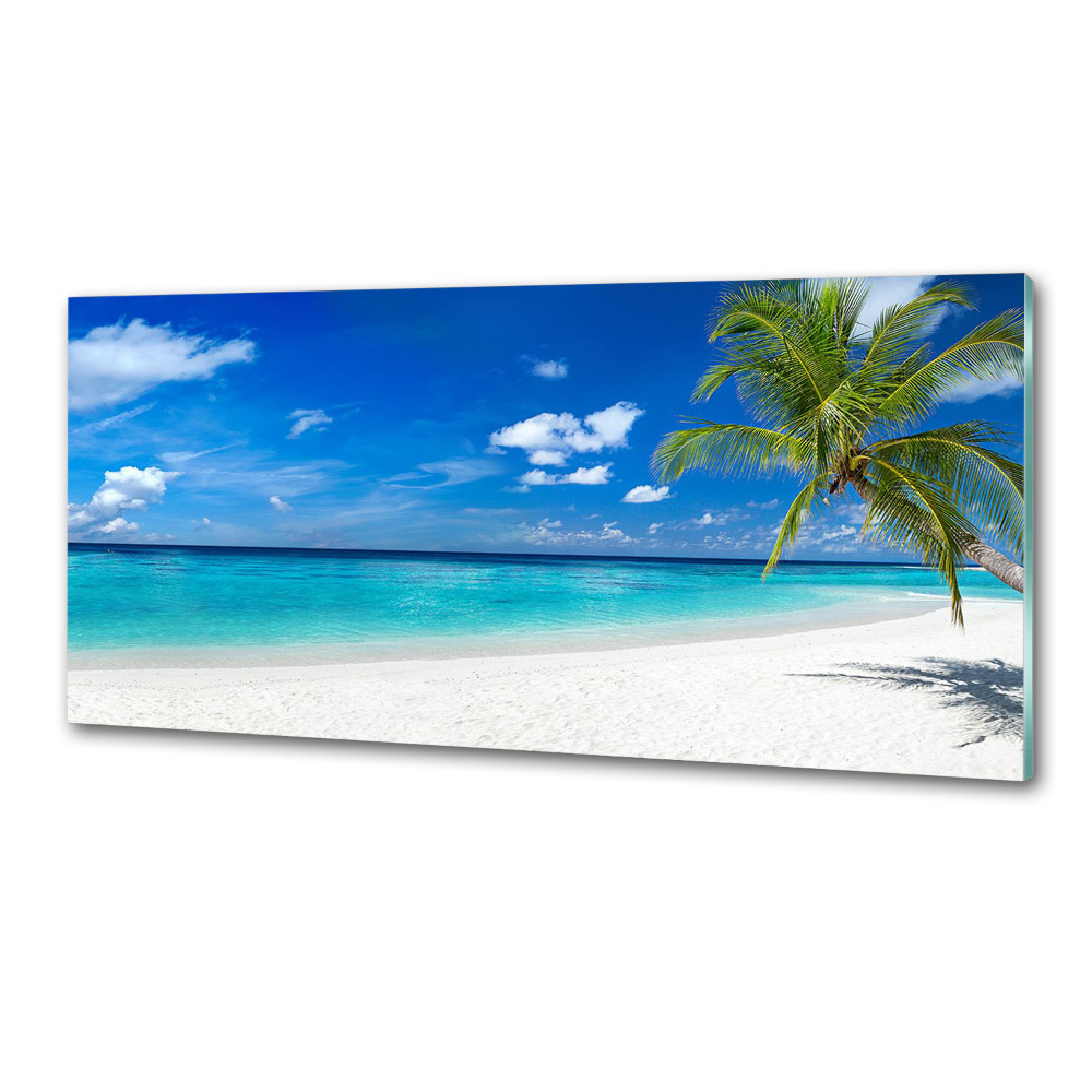 Cooker splashback Tropical beach