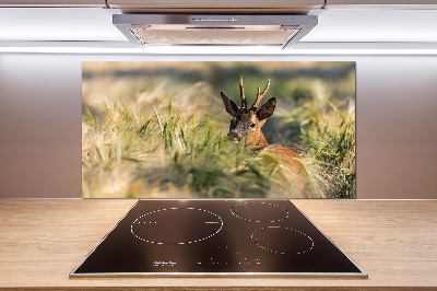 Kitchen splashback Deer in the field