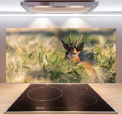 Kitchen splashback Deer in the field