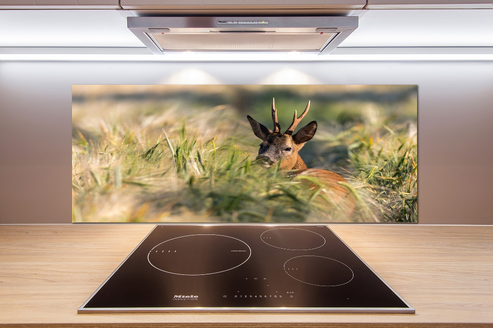 Kitchen splashback Deer in the field