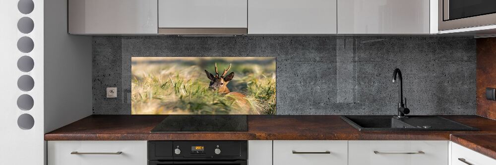 Kitchen splashback Deer in the field