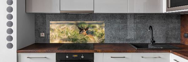 Kitchen splashback Deer in the field