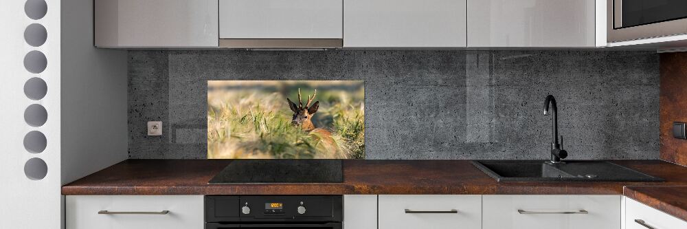 Kitchen splashback Deer in the field