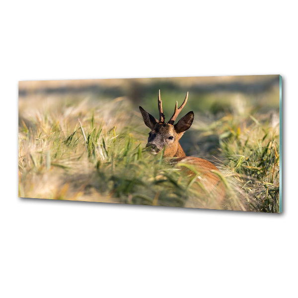 Kitchen splashback Deer in the field