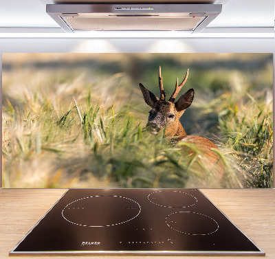 Kitchen splashback Deer in the field