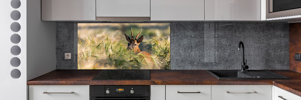 Kitchen splashback Deer in the field