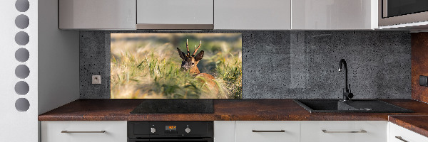 Kitchen splashback Deer in the field