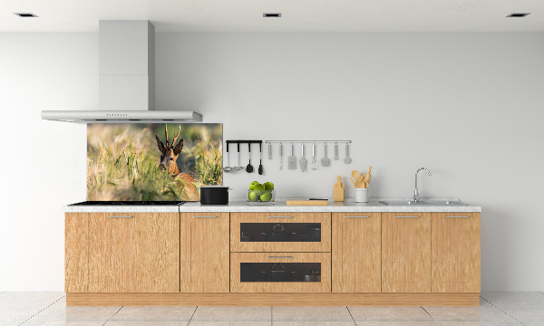 Kitchen splashback Deer in the field